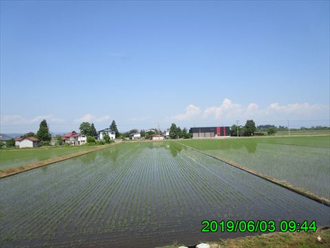 西田利の日記