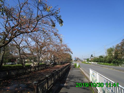 西田利の日記