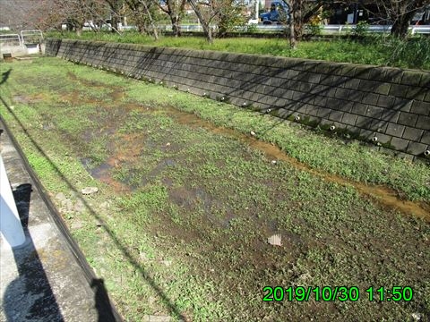 西田利の日記