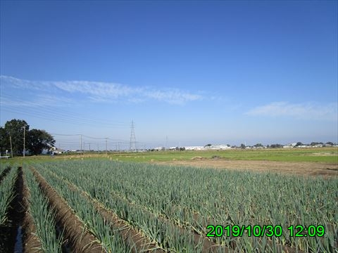 西田利の日記