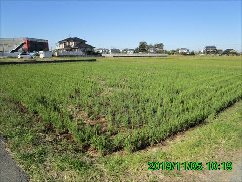 西田利の日記