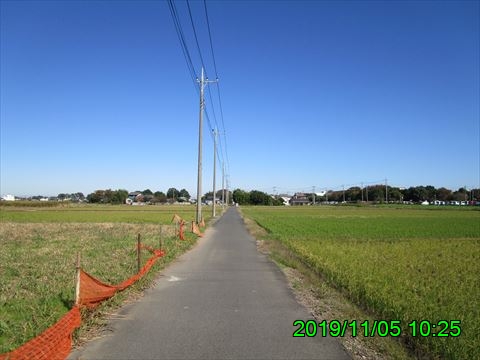 西田利の日記