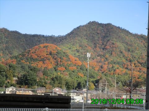 西田利の日記