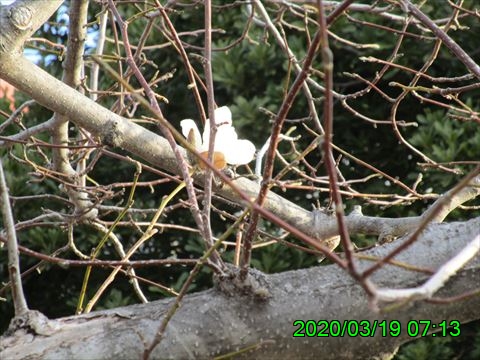 西田利の日記