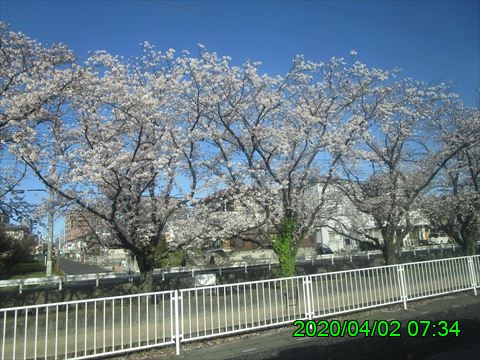 西田利の日記