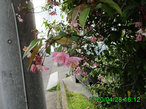 西田利の日記