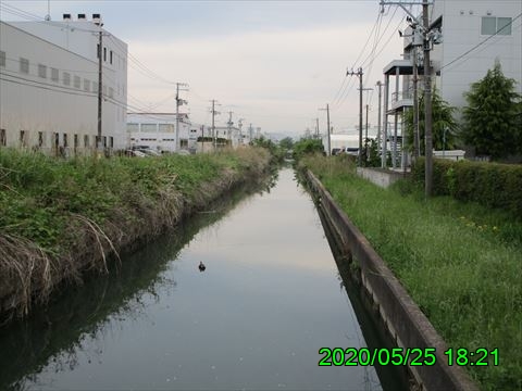 西田利の日記