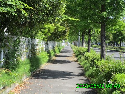 西田利の日記