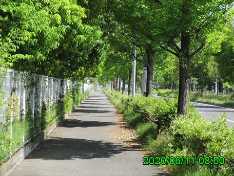 西田利の日記