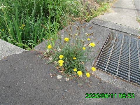 西田利の日記