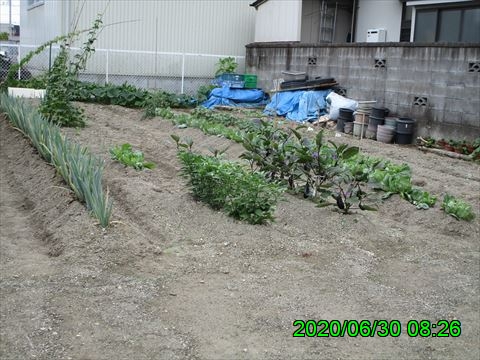 西田利の日記