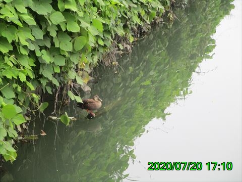 西田利の日記