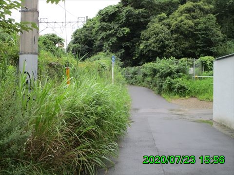 西田利の日記