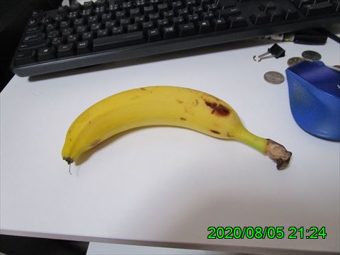 西田利の日記