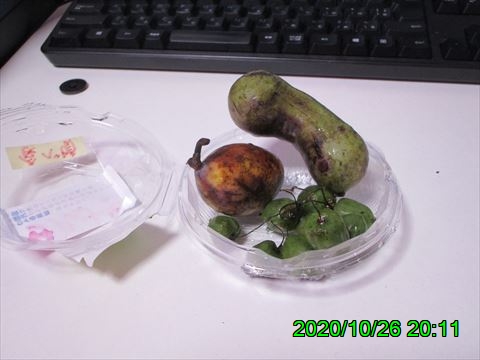 西田利の日記