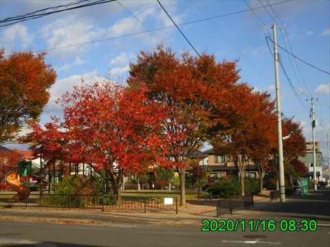 西田利の日記