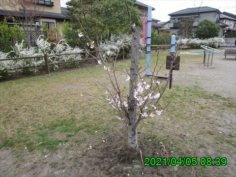 西田利の日記