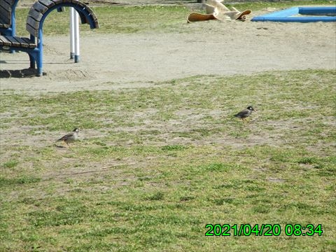 西田利の日記