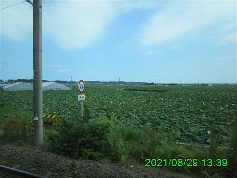 西田利の日記