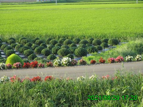 西田利の日記