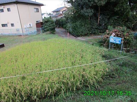 西田利の日記