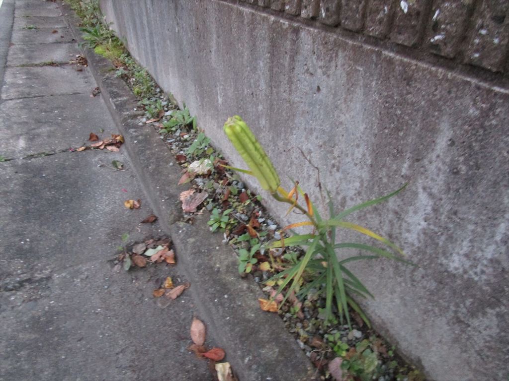 西田利の日記