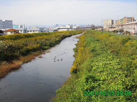 西田利の日記