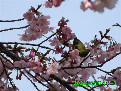 西田利の日記