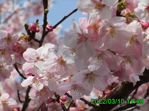 西田利の日記