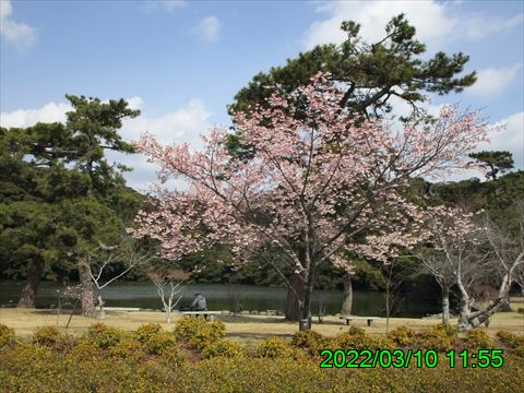 西田利の日記