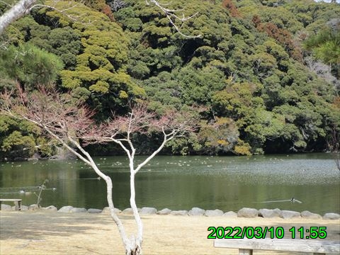 西田利の日記