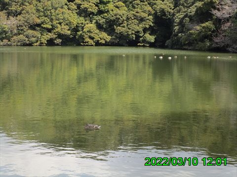 西田利の日記