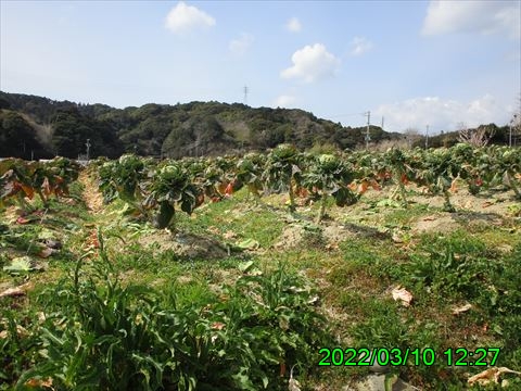 西田利の日記