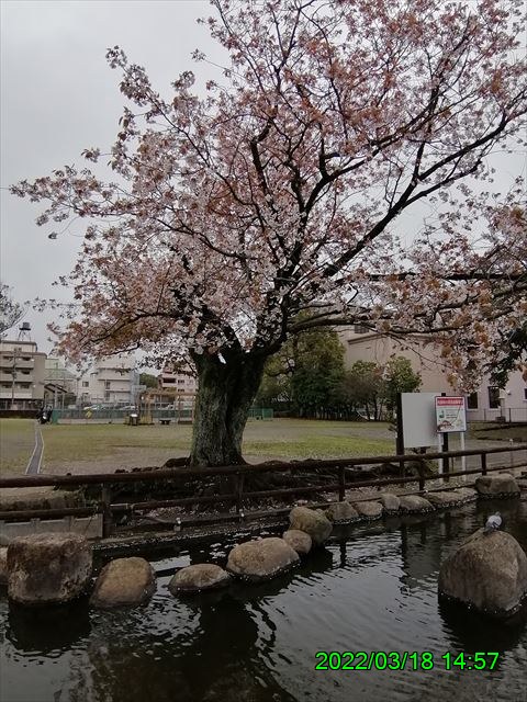 西田利の日記