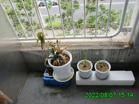西田利の日記