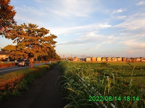 西田利の日記