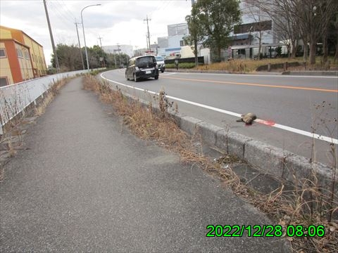 西田利の日記