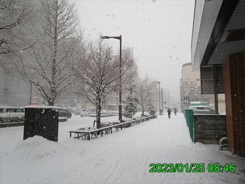 西田利の日記