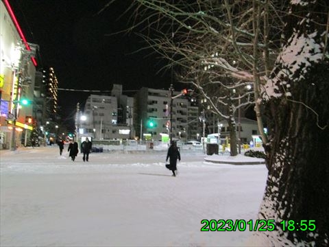 西田利の日記