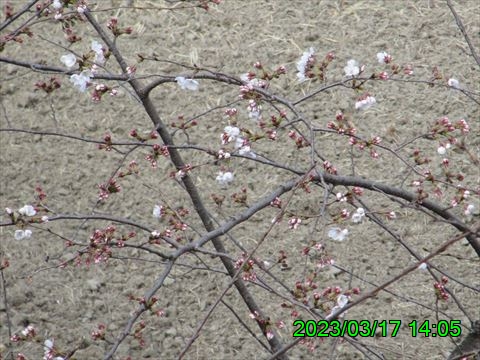 西田利の日記