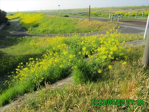 西田利の日記