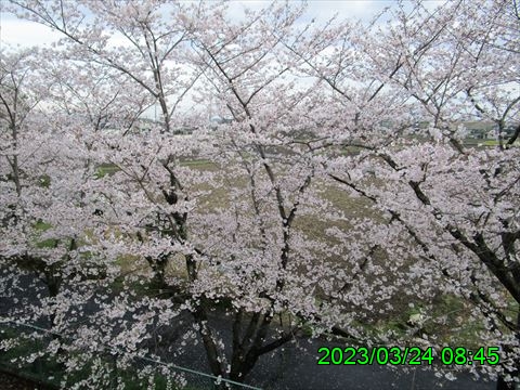 西田利の日記