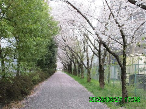 西田利の日記