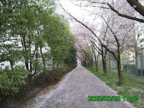 西田利の日記