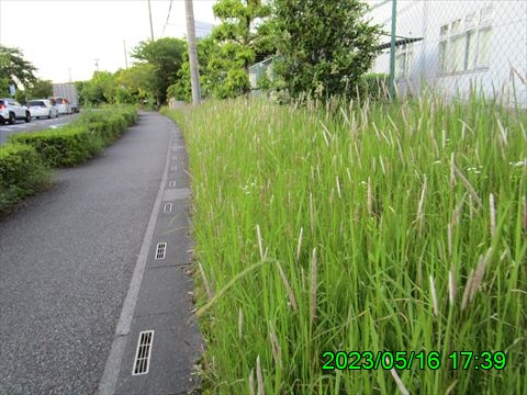 西田利の日記