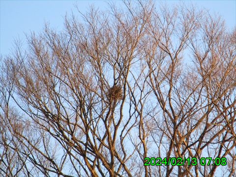 西田利の日記