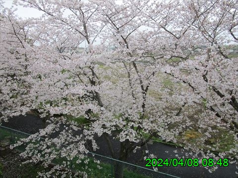 西田利の日記