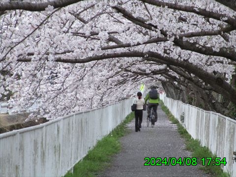 西田利の日記