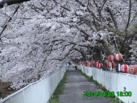 西田利の日記