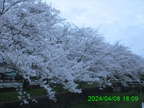 西田利の日記